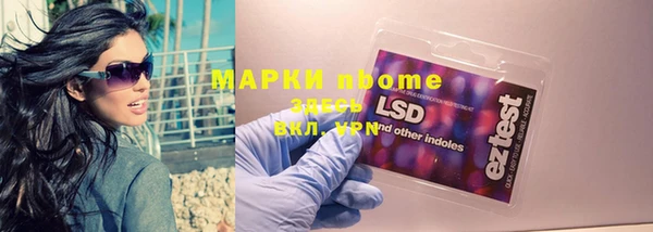 шишки Абаза