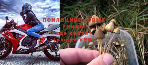 бошки Абдулино