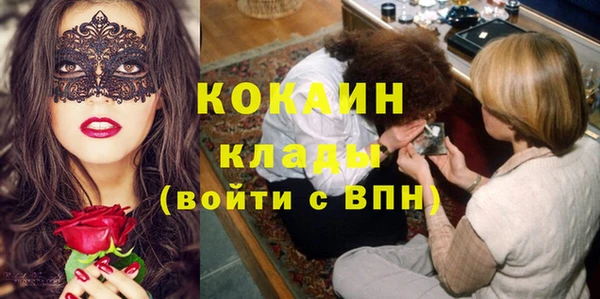 шишки Абаза