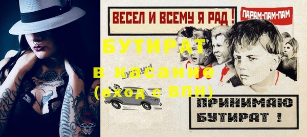 шишки Абаза