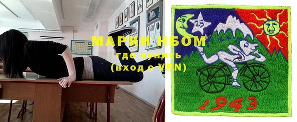 шишки Абаза
